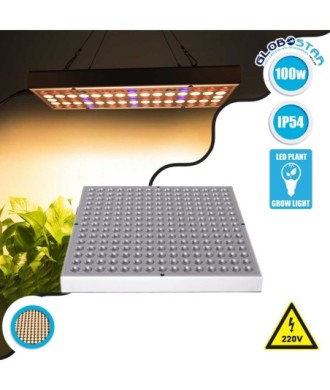 GloboStar® 85955 Grow Light Panel Hydro Spectrum LED Φωτιστικό Ανάπτυξης Φυτών Υδροπονικού Θερμοκηπίου SMD 2835 100W 160° AC230V IP54 Εσωτερικού Χώρου για Κάλυψη Επιφάνειας 1m x 1m
